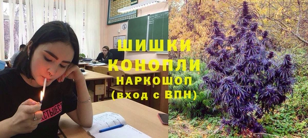 дурь Белокуриха