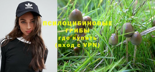 дурь Белокуриха