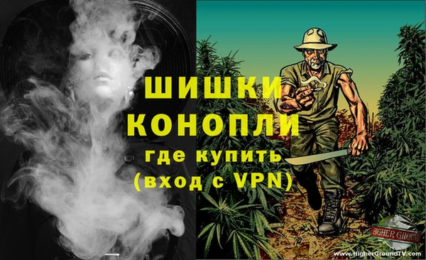 сатива Богородицк